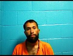 Mugshot of MICHAEL E LOOBY