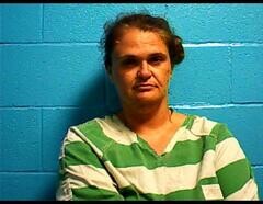 Mugshot of STEPHANIE J FARISON