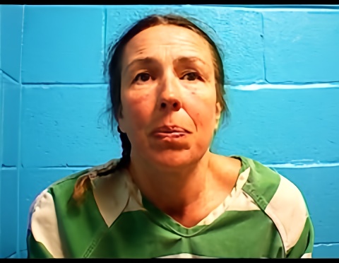 Mugshot of HEATHER A HARRY