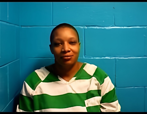 Mugshot of LEANNA M STEELE