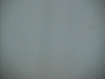 Mugshot of TOMMY NGUYEN