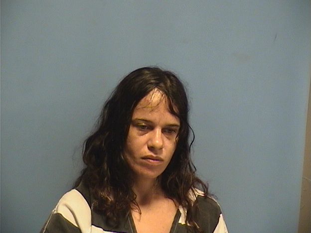 Mugshot of DANIELLE FRAYCHINEAUD