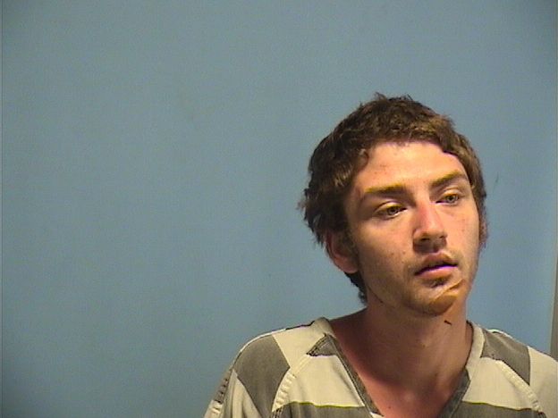 Mugshot of LUKE HARRELL