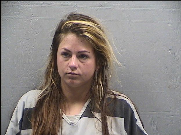 Mugshot of SARAH VOGEL