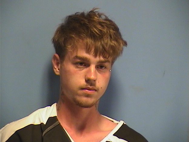 Mugshot of MARK WHITE