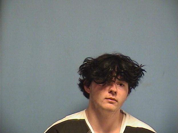 Mugshot of TRISTAN BROWN