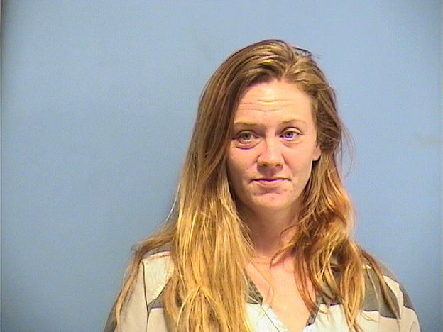 Mugshot of JULIE DYKES