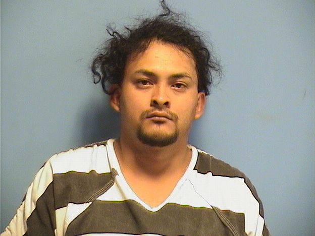 Mugshot of ERLYN MENCIA