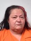 Mugshot of ROBIN ELIZABETH HUNTER