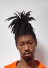 Mugshot of TRELL JACKSON