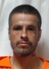 Mugshot of DONOVAN LEE BILLIOT