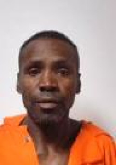 Mugshot of REGINALD WALLIS