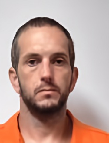 Mugshot of JESSE AARON WELLS