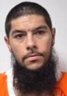 Mugshot of JORDAN HUU NGUYEN