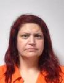 Mugshot of ALLYCE MONIQUE HIMEL