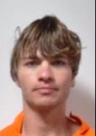 Mugshot of DYLAN MICHAEL BOSS