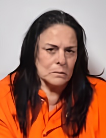 Mugshot of DANAH LEBOEUF PITRE