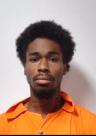 Mugshot of BRYAN ANTHONY WILSON