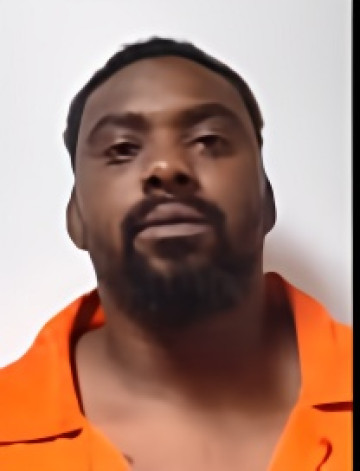 Mugshot of RONALD LEE JR JOHNSON