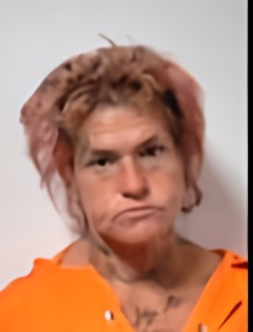 Mugshot of JOELL THIEL BOURG