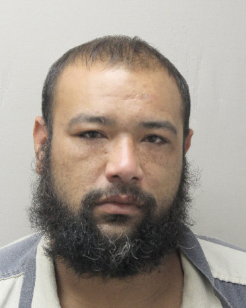 Mugshot of THANH VAHN TRAN
