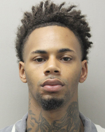 Mugshot of REGINALD JAMES JULIEN