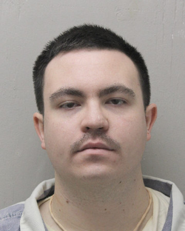 Mugshot of DYLAN JUDE BAUDOIN
