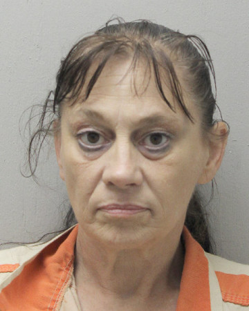 Mugshot of THERESA ANNE MENARD
