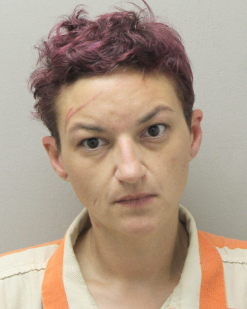 Mugshot of NIKKI LEE PEPPER
