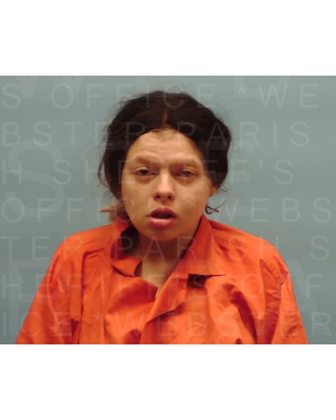 Mugshot of BRYLIE NADINE SILK
