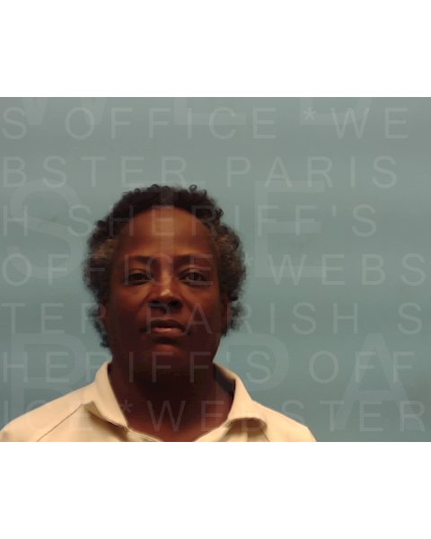 Mugshot of LISA JACKSON DREW