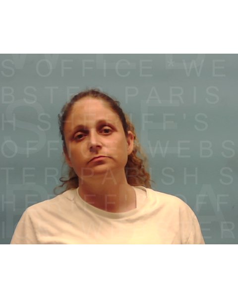 Mugshot of ROBYN MONTZ