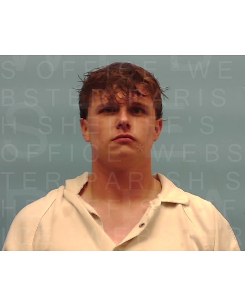 Mugshot of JAYDEN RICHARD MILLS