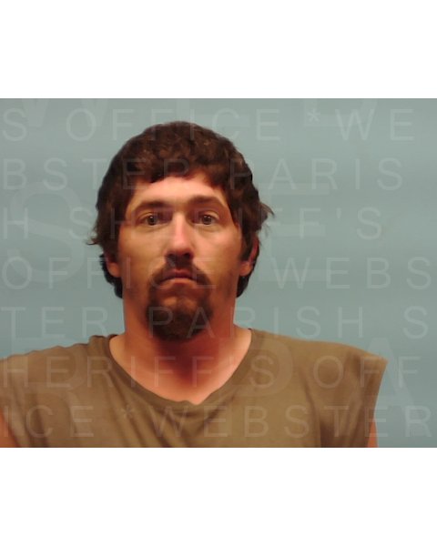 Mugshot of NICHOLAS WAYNE REGAN