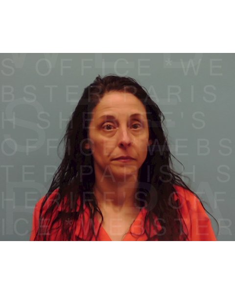 Mugshot of ASHLEY S MCLAIN