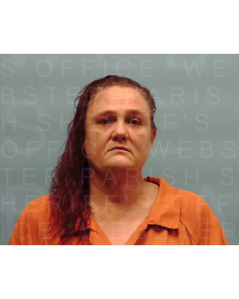 Mugshot of ELIZABETH A CUDE