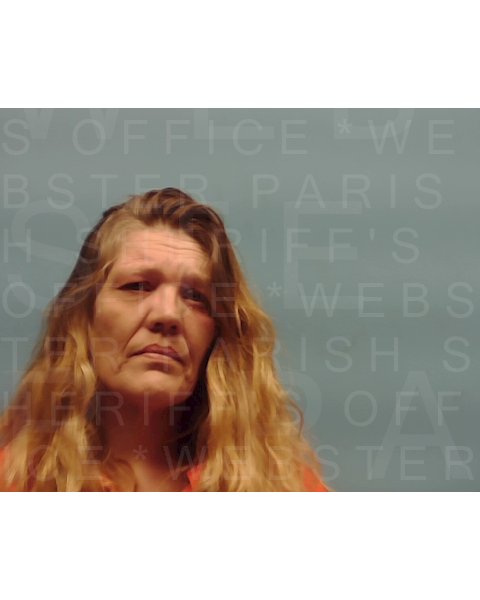 Mugshot of MICHELLE LOWE