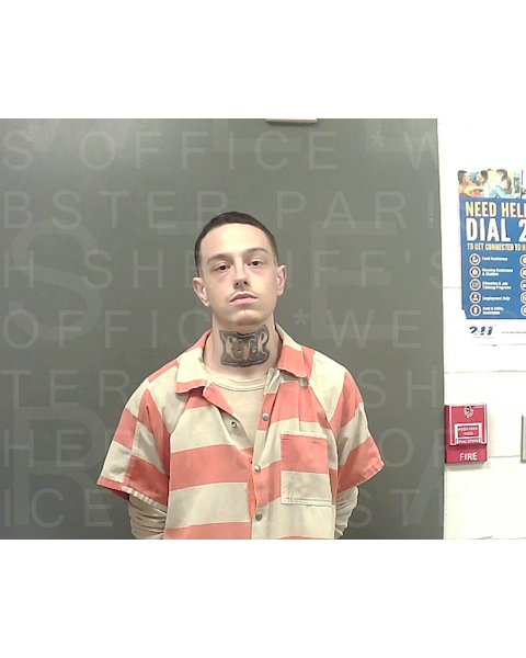 Mugshot of DAVID JR COLLIER