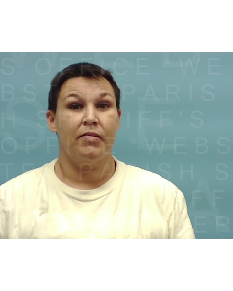 Mugshot of BROOKE ABSHIRE