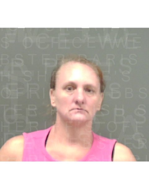 Mugshot of CRYSTAL M HARRELL