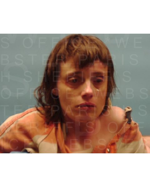 Mugshot of LACEY M MANN