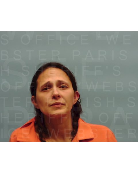 Mugshot of STEPHANIE TURNER
