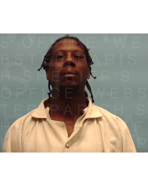 Mugshot of TONY LEWIS