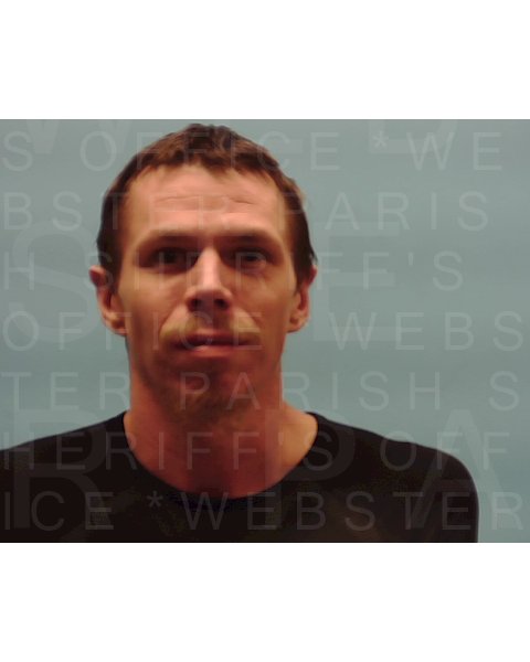 Mugshot of LUCAS STERLING