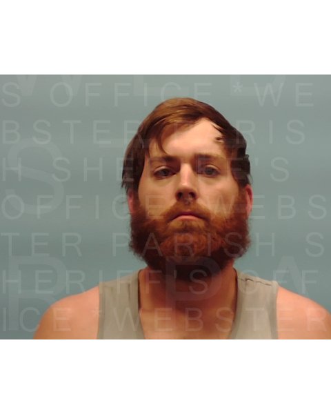 Mugshot of DILLION BARNETT TATOM