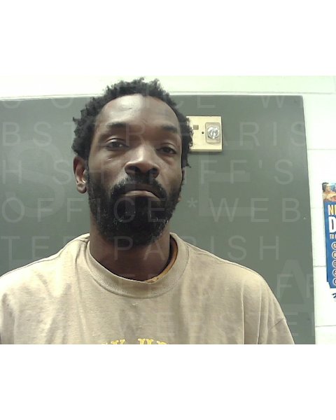 Mugshot of DARNELL JR HARRIS