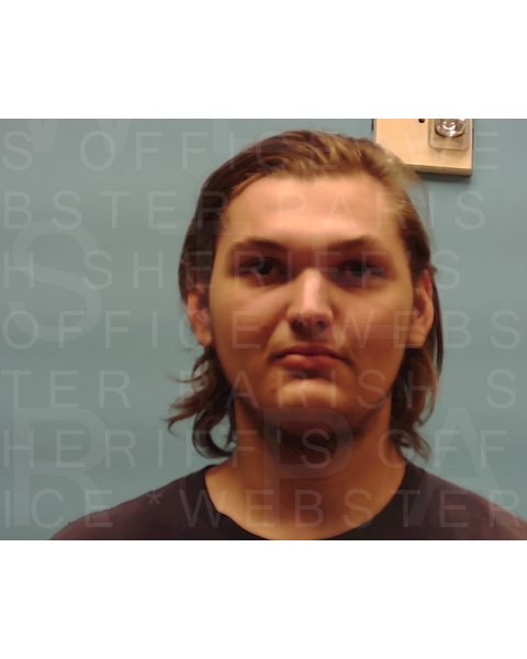 Mugshot of TREY NEWSOM