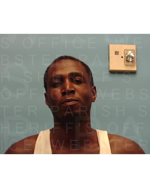 Mugshot of JERVAE LESTORIYA WINANS