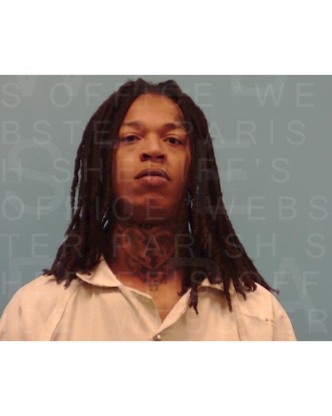 Mugshot of STEVEN DENNIS