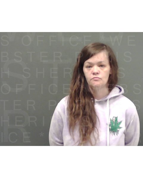 Mugshot of LINDSEY MARIE BASSINGER